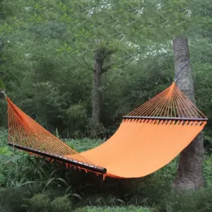Hammock Swing
